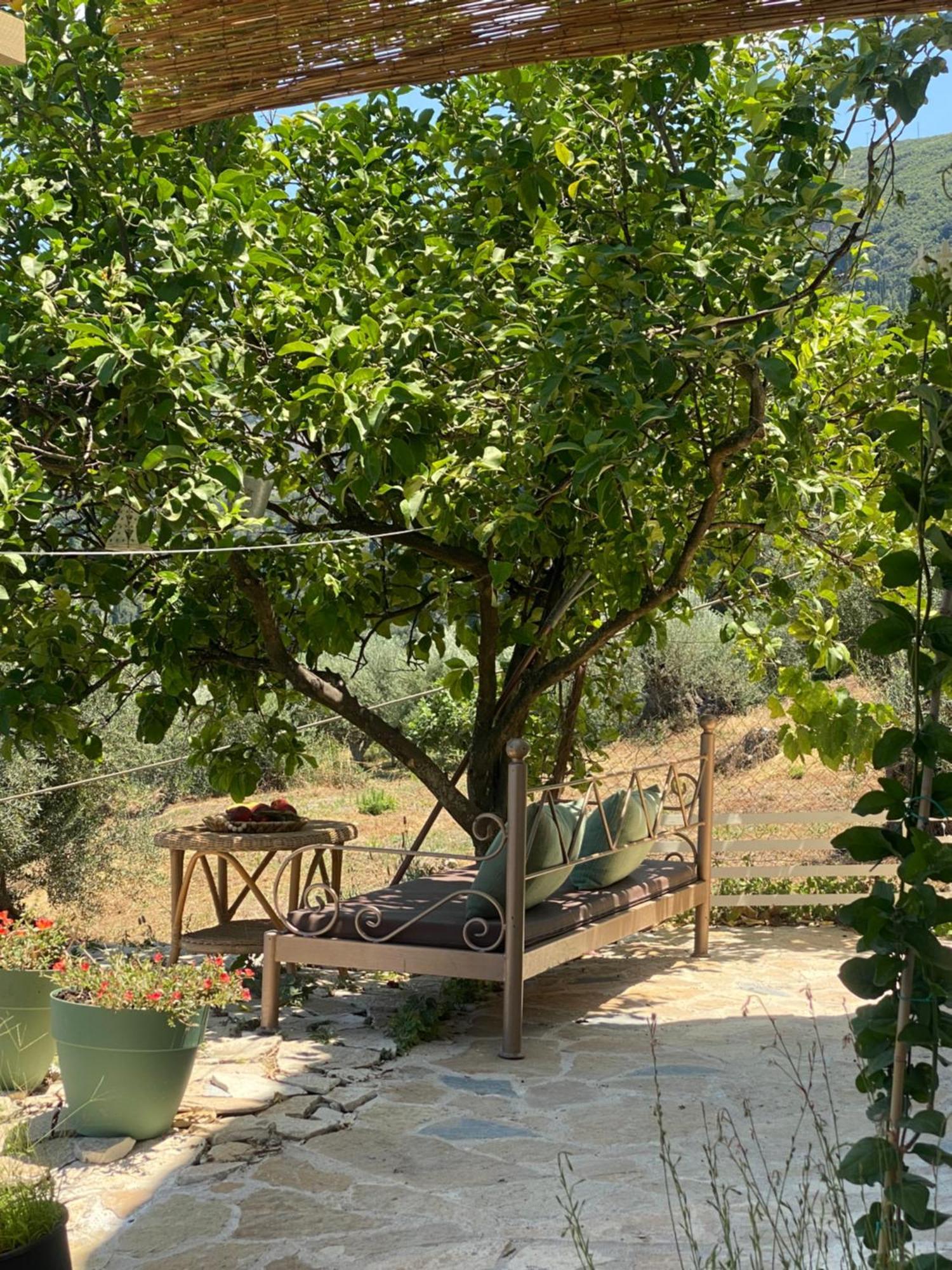 Holiday home Dinateli House - Live Like A Local In Corfu *