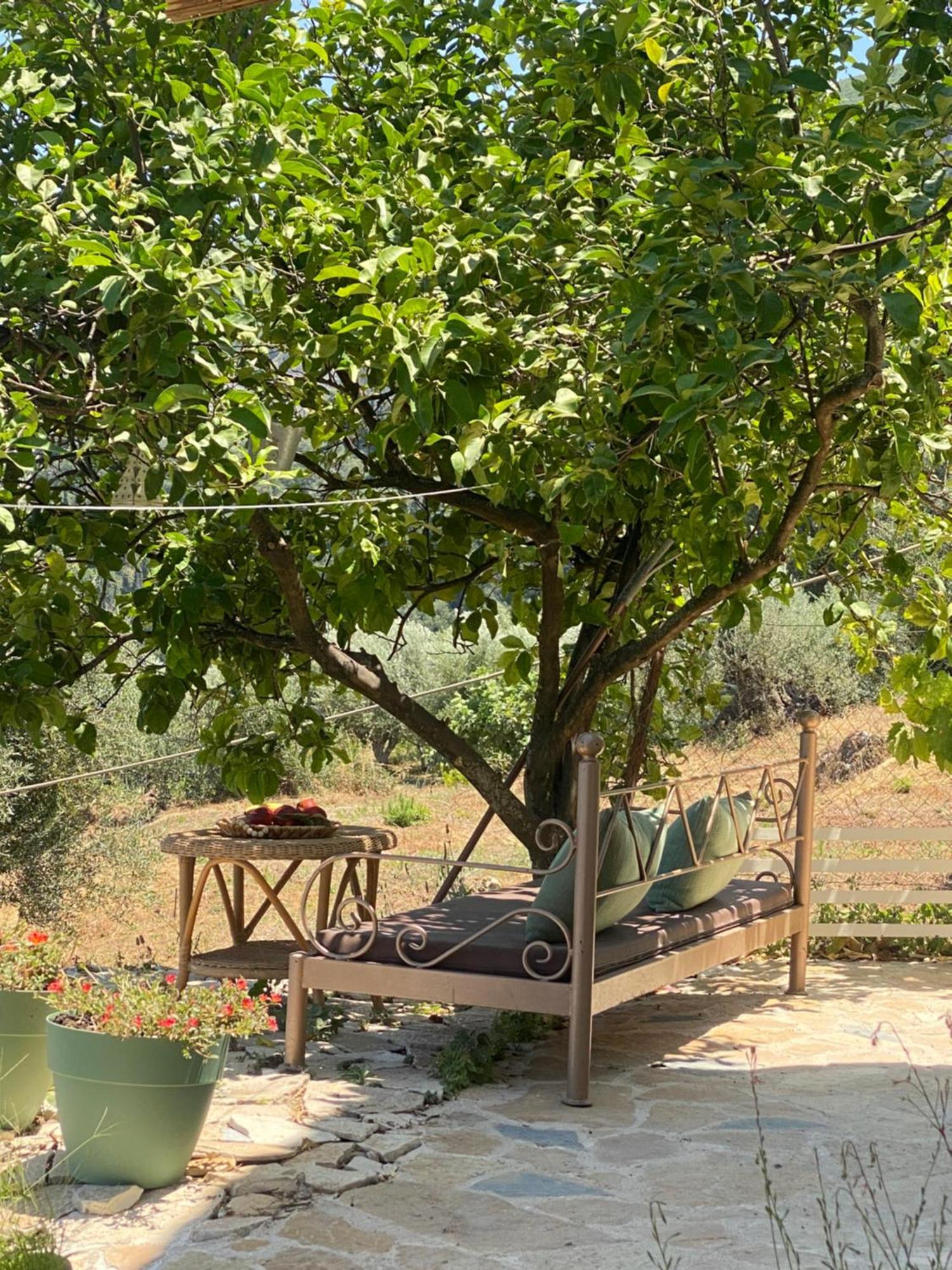 Dinateli House - Live Like A Local In Corfu Holiday home *