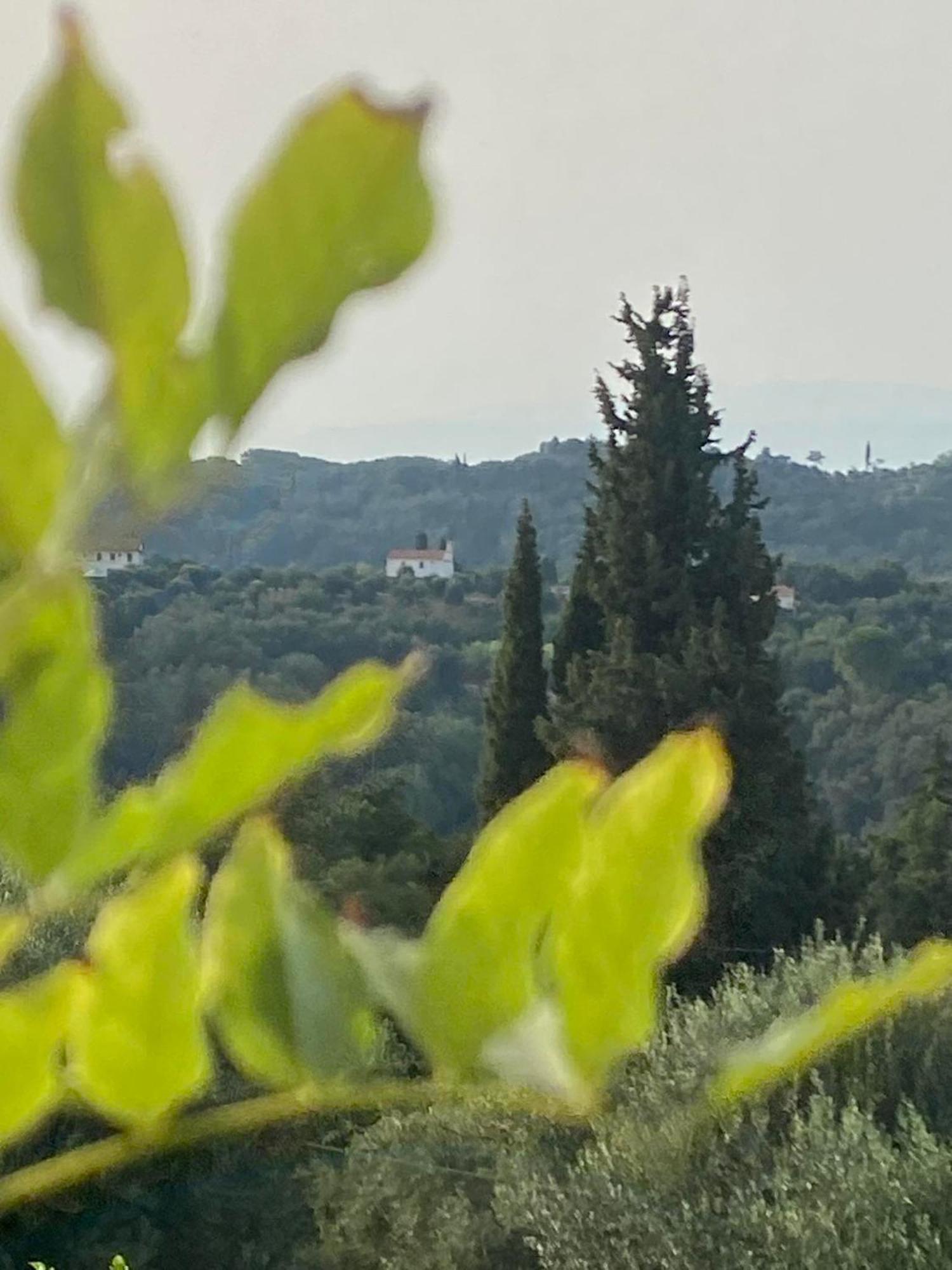 Dinateli House - Live Like A Local In Corfu Kastellanoi (Agios Georgios (Corfu))